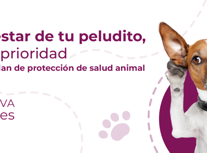 ASISTENCIA MÉDICA ANIMAL